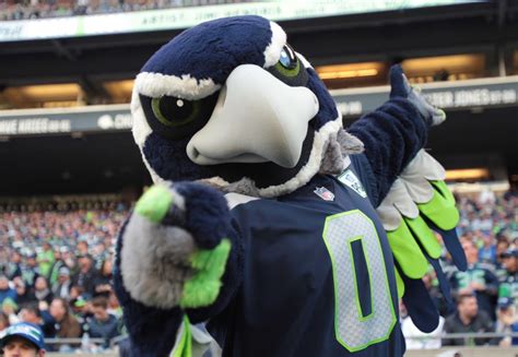 Seattle seahawks mascots clap